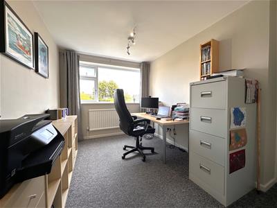 Picture 20